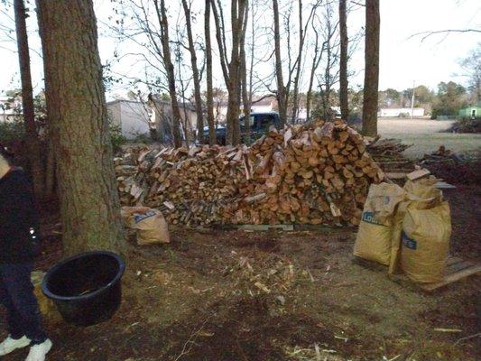 The Wedding Officiant