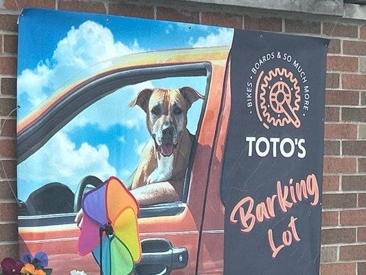 Toto's Sport Solutions