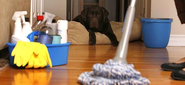 H2O Cleaning Service