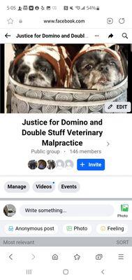 This lawfirm hates dogs. They represent shannon stanek who maliciously killed my domino. No respectable human would ever hire them.