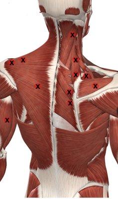 Gifted Healing Hands