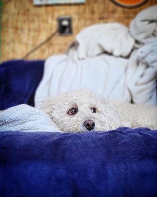 Anchor Pointe Boat-A-Minium