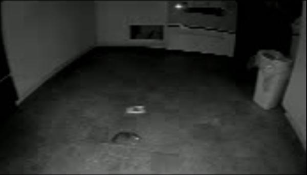 Community Plaza Apartments