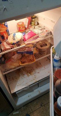 M.O.P Janitorial Cleaning Service’s