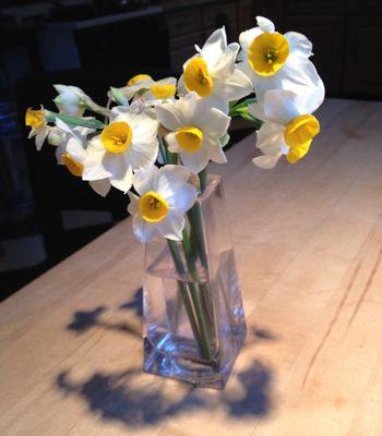 Big Mammas Garden Supply