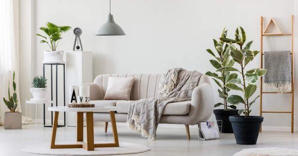 JayJax Cleaning Services