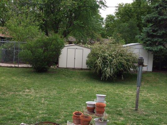 Cleaned up the clippings better than most.