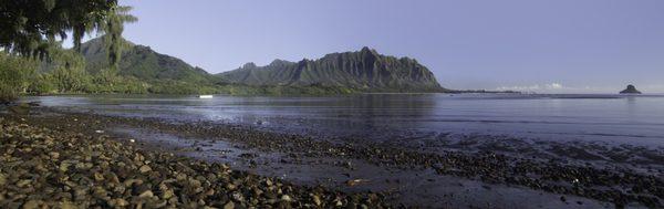 John Eligio - Coldwell Banker Realty