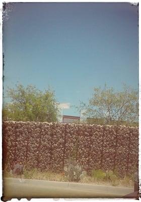 Nice wall and desertic plants