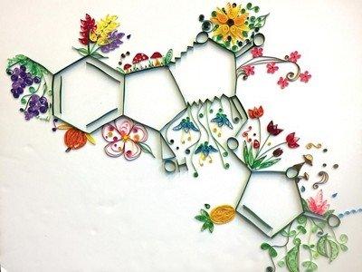 Mr. Beobien’s Chemistry Class