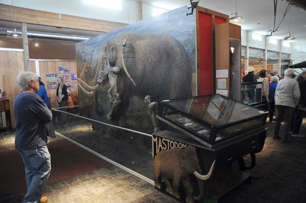 Museum & Arts Center