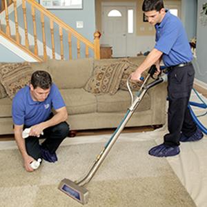 Area-Wide Carpet Cleaning Of The Woodlands