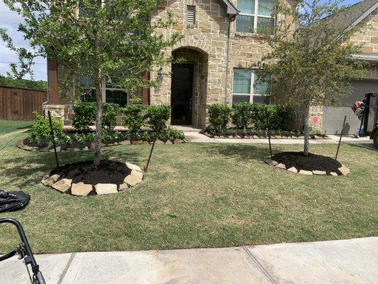 Sanchez Tree Service