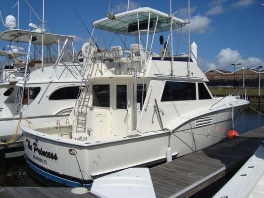Sea Wolf Charter