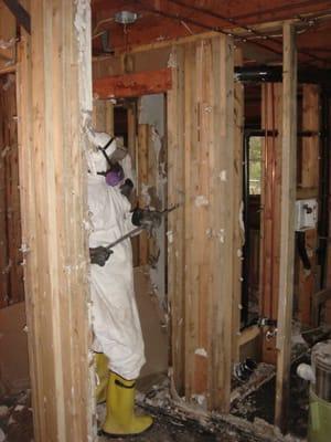 Mold remediation