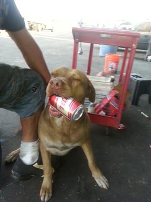 Averci puede curarcela jaja nunca me deja solo