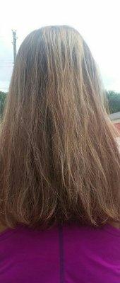 I do not recommend ASUSENA AKA susi to anyone bright patch on right ,this is her work for highlights