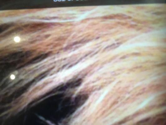 Fantastic Sams Hair Salons