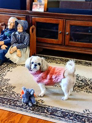 Bankhead Animal Hospital