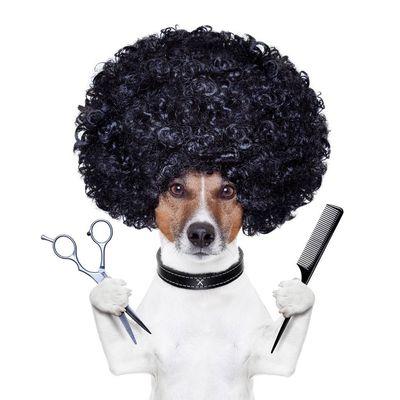 County Line Pet Grooming