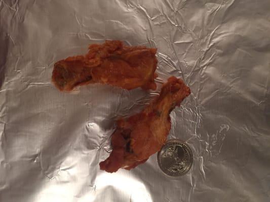 What the hell??  The size of this wing is pathetic!!  Seriously!!