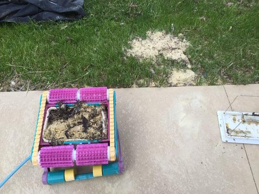 Here's more of the sand removed from Nile's incompetence.