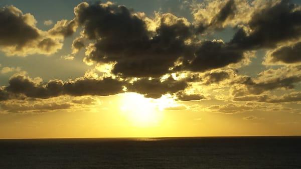 Max's Medical Specialties