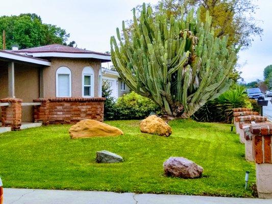 Agape Addiction Counseling