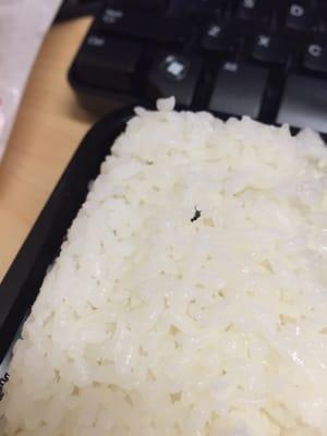 There was a black speck in the rice and when I dug it out to see what it was this is what I found