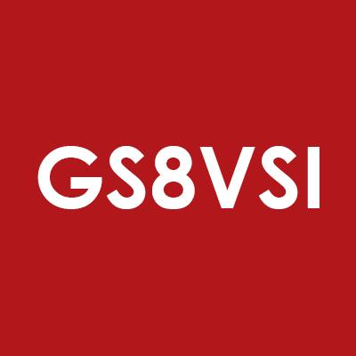 GS8 Virtual Security International