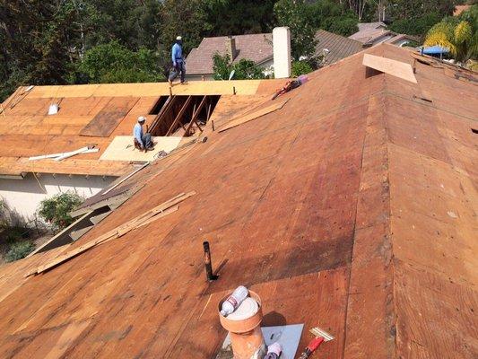 Best roof service