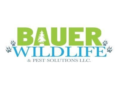 Bauer Wildlife & Pest Solutions