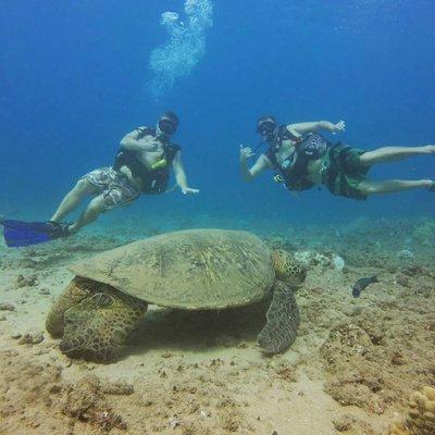 Diving with a giant Hawaiian green sea turtle in Ka'anapali.
