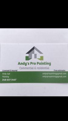 Andy’s Pro Painting
