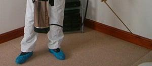 Pest Control Service