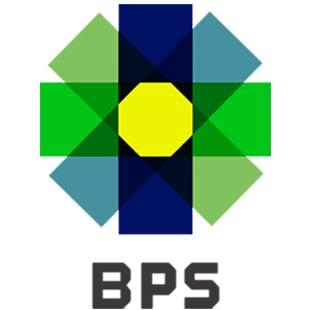 Backup Power Source Inc