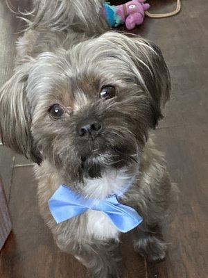 Morehouse Cleaning Services