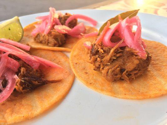 Pulled pork taco