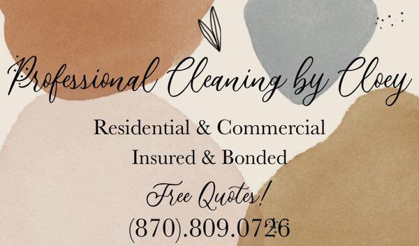 Professional Cleaning By Cloey