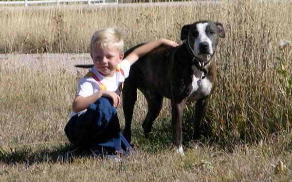 A Mobile Veterinarian