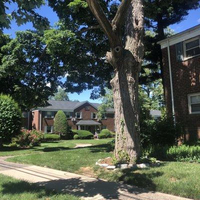 Fairlawn Park Estates