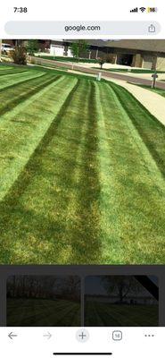 Mitchell Landscaping