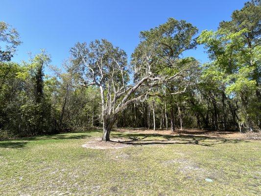 Cheo’s Landscaping