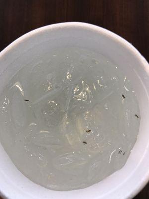 Ants in the Sierra Mist....not eating here again