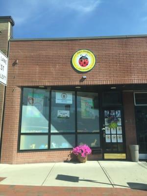 Bug Boutique of Dedham -- 547 High Street, Dedham Storefront