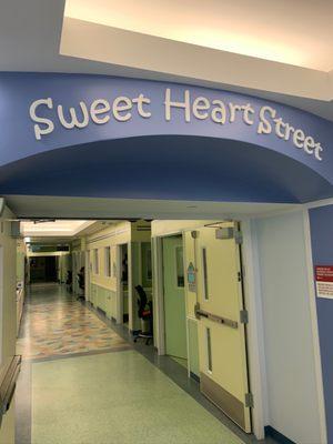 Unit B Sweet Heart Street at Cook Children's