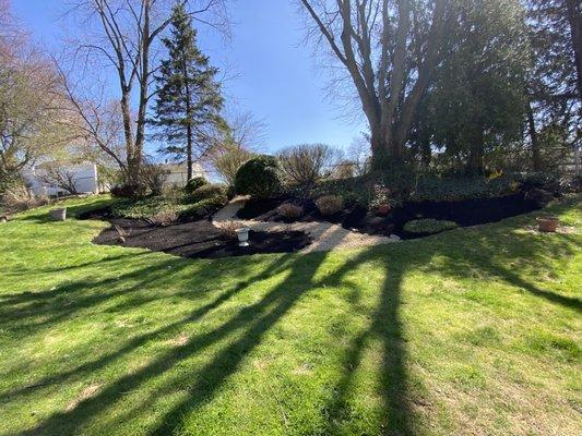 All Pro Management Services