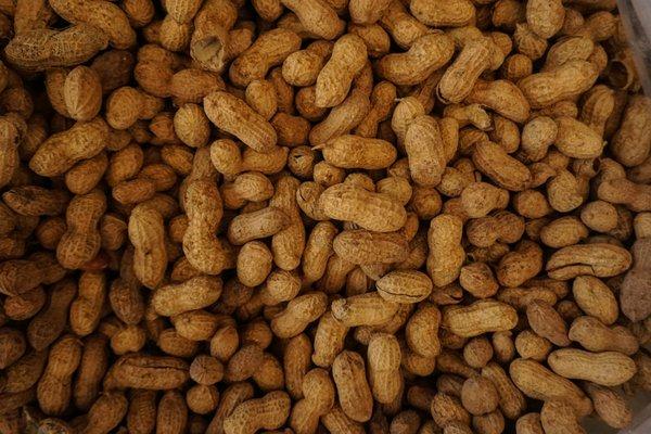 Tiftons Top Quality Boiled Peanuts
