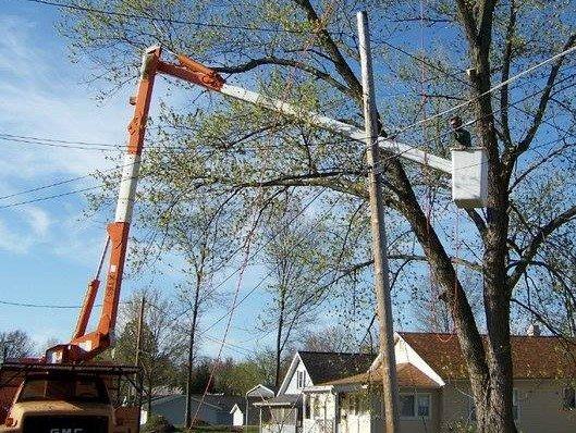 Gahn's Tree & Stump Removal