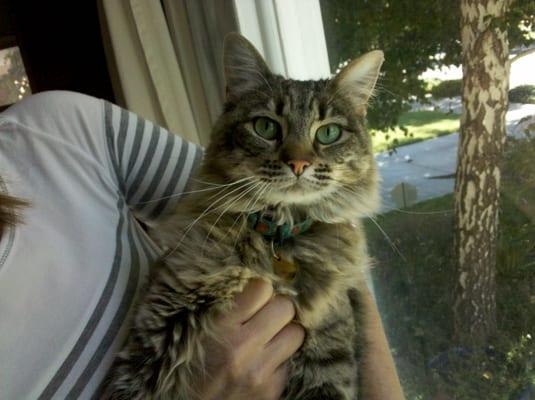 Music Lessons by Tammy Acosta